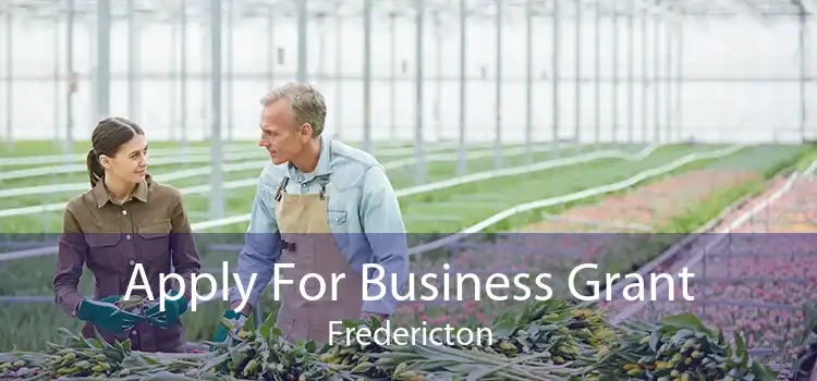 Apply For Business Grant Fredericton